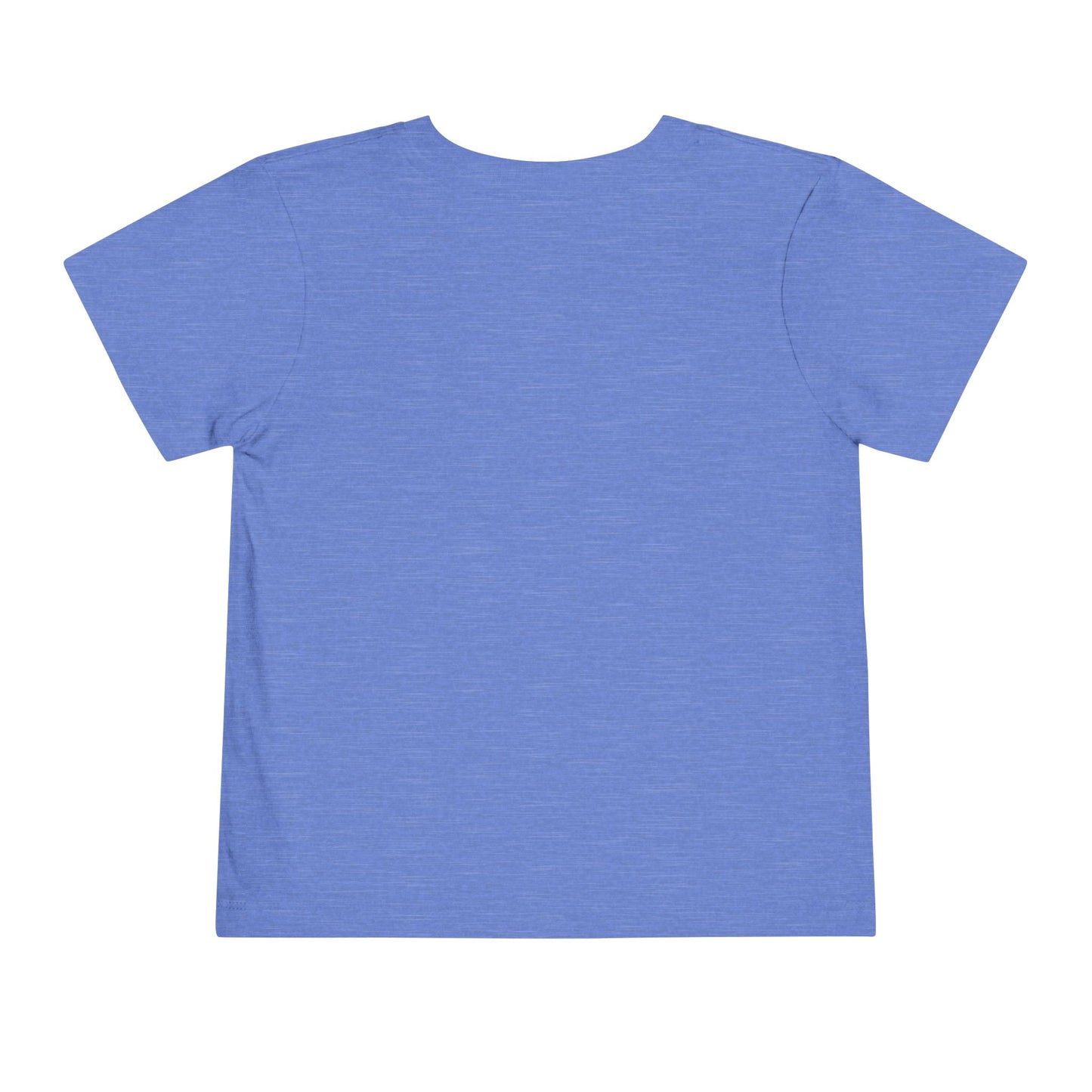 Fun Play All Day - Blue Toddler Short Sleeve Tee